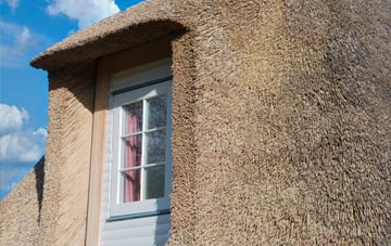 Easthopewood thatch roof disadvantages